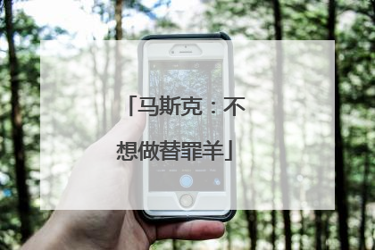 马斯克：不想做替罪羊