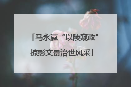 马永嬴“以陵窥政” 掠影文景治世风采