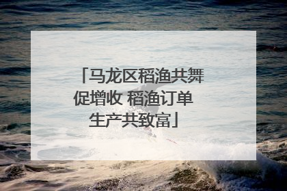 马龙区稻渔共舞促增收 稻渔订单生产共致富