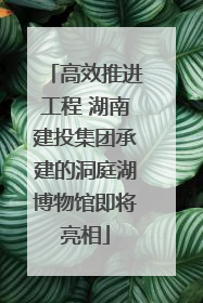高效推进工程 湖南建投集团承建的洞庭湖博物馆即将亮相