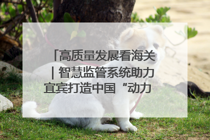 高质量发展看海关｜智慧监管系统助力宜宾打造中国“动力电池之都”