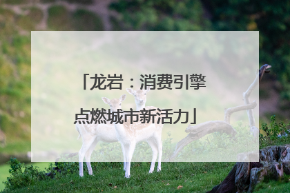 龙岩：消费引擎点燃城市新活力