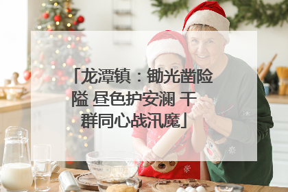 龙潭镇：锄光凿险隘 昼色护安澜 干群同心战汛魔
