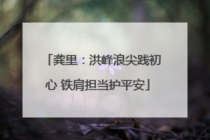 龚里：洪峰浪尖践初心 铁肩担当护平安