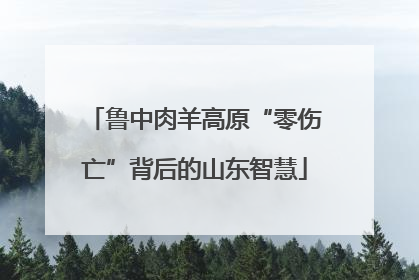 鲁中肉羊高原“零伤亡”背后的山东智慧