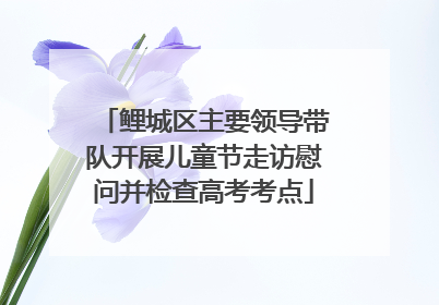 鲤城区主要领导带队开展儿童节走访慰问并检查高考考点