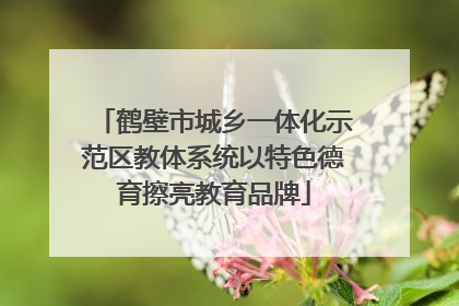鹤壁市城乡一体化示范区教体系统以特色德育擦亮教育品牌