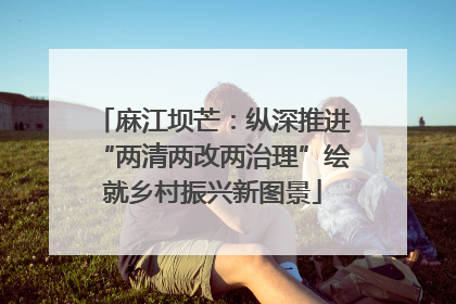 麻江坝芒：纵深推进“两清两改两治理”绘就乡村振兴新图景