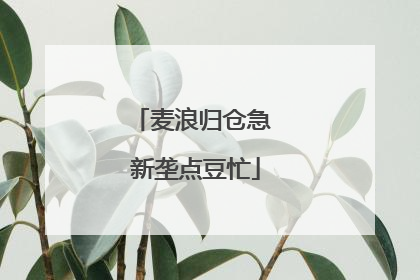 麦浪归仓急 新垄点豆忙
