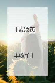 麦浪黄 丰收忙