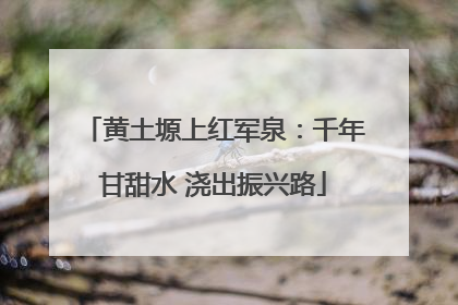 黄土塬上红军泉：千年甘甜水 浇出振兴路
