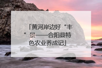 黄河岸边好“丰”景——合阳县特色农业养成记