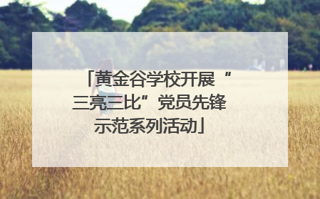 黄金谷学校开展“三亮三比”党员先锋示范系列活动