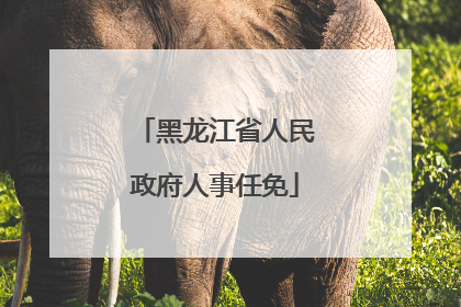 黑龙江省人民政府人事任免