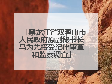 黑龙江省双鸭山市人民政府原副秘书长马为先接受纪律审查和监察调查