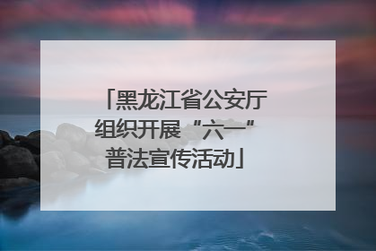 黑龙江省公安厅组织开展“六一”普法宣传活动