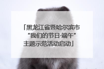 黑龙江省暨哈尔滨市“我们的节日·端午”主题示范活动启动