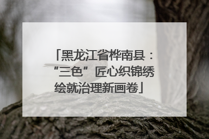 黑龙江省桦南县：“三色”匠心织锦绣 绘就治理新画卷