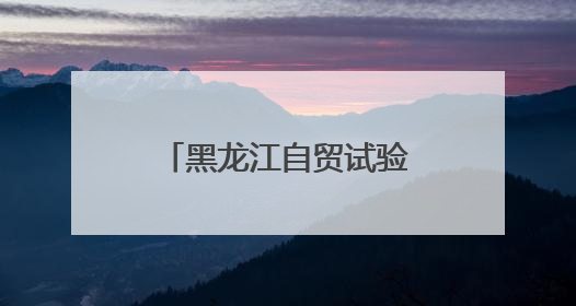 黑龙江自贸试验区：从“创新试验田”向“经济增长极”的质变