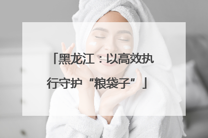 黑龙江：以高效执行守护“粮袋子”