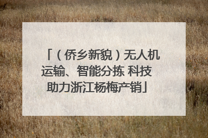 （侨乡新貌）无人机运输、智能分拣 科技助力浙江杨梅产销