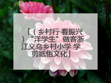 （乡村行·看振兴）“洋学生”做客浙江义乌乡村小学 学剪纸悟文化