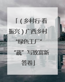 （乡村行·看振兴）广西乡村“绿色工厂” “蔬”写致富新答卷