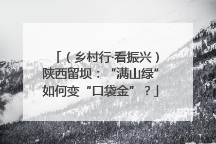（乡村行·看振兴）陕西留坝：“满山绿”如何变“口袋金”？