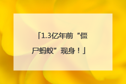 1.3亿年前“僵尸蚂蚁”现身！