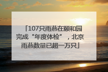 107只雨燕在颐和园完成“年度体检”，北京雨燕数量已超一万只
