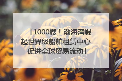 1000艘！渤海湾崛起世界级船舶租赁中心 促进全球贸易流动