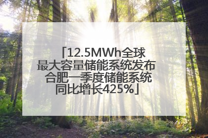 12.5MWh全球最大容量储能系统发布 合肥一季度储能系统同比增长425%