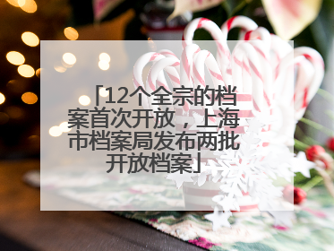 12个全宗的档案首次开放，上海市档案局发布两批开放档案