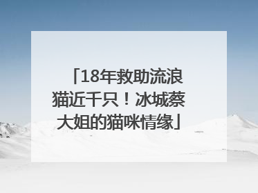 18年救助流浪猫近千只！冰城蔡大姐的猫咪情缘