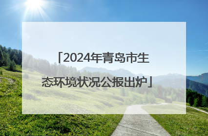 2024年青岛市生态环境状况公报出炉