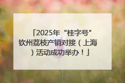 2025年“桂字号”钦州荔枝产销对接（上海）活动成功举办！