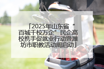 2025年山东省“百城千校万企”民企高校携手促就业行动暨潍坊市职教活动周启动