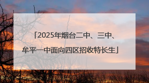 2025年烟台二中、三中、牟平一中面向四区招收特长生