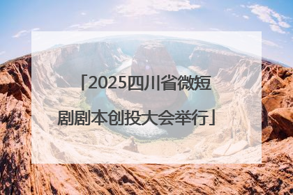 2025四川省微短剧剧本创投大会举行