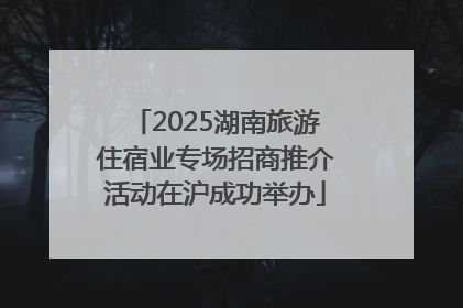 2025湖南旅游住宿业专场招商推介活动在沪成功举办