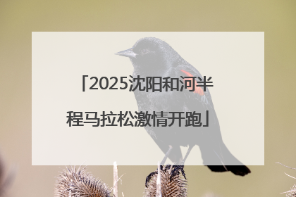 2025沈阳和河半程马拉松激情开跑