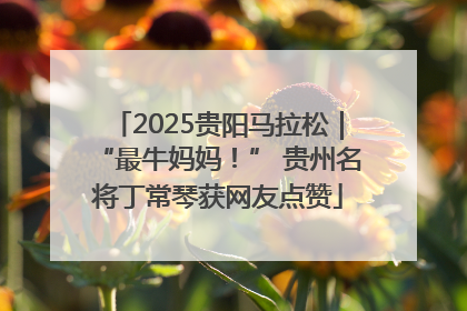 2025贵阳马拉松｜“最牛妈妈！” 贵州名将丁常琴获网友点赞