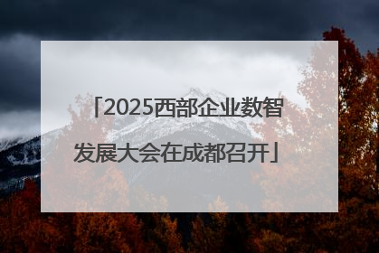 2025西部企业数智发展大会在成都召开