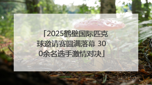 2025鹤壁国际匹克球邀请赛圆满落幕 300余名选手激情对决