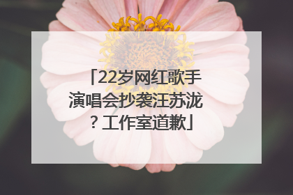 22岁网红歌手演唱会抄袭汪苏泷？工作室道歉