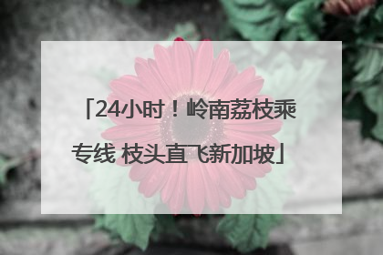 24小时！岭南荔枝乘专线 枝头直飞新加坡