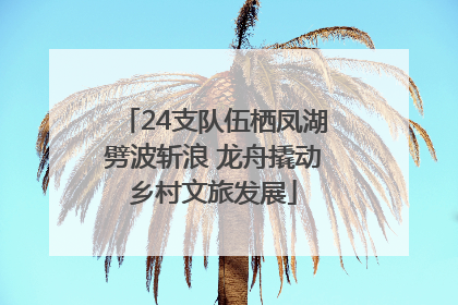 24支队伍栖凤湖劈波斩浪 龙舟撬动乡村文旅发展
