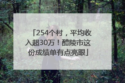 254个村，平均收入超30万！醴陵市这份成绩单有点亮眼