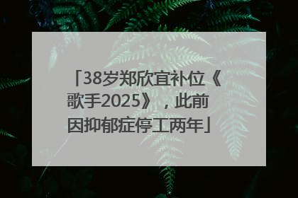 38岁郑欣宜补位《歌手2025》，此前因抑郁症停工两年