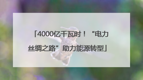 4000亿千瓦时！“电力丝绸之路”助力能源转型
